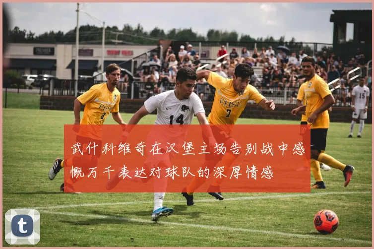 武什科维奇在汉堡主场告别战中感慨万千表达对球队的深厚情感