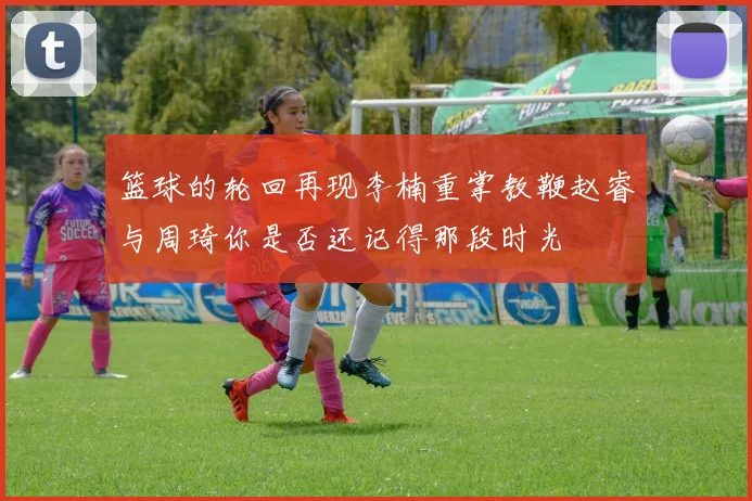 篮球的轮回再现李楠重掌教鞭赵睿与周琦你是否还记得那段时光