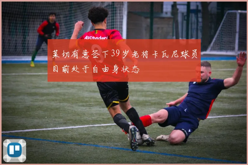 莱切有意签下39岁老将卡瓦尼球员目前处于自由身状态